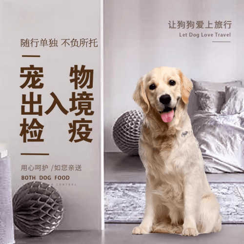 深圳宠物托运到哥伦比亚猫狗宠物入境规定和