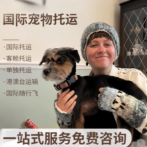深圳国际宠物托运到阿根廷宠物入境规定和要