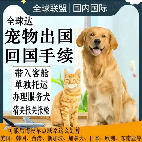 深圳宠物托运到柬埔寨宠物入境规定和要求