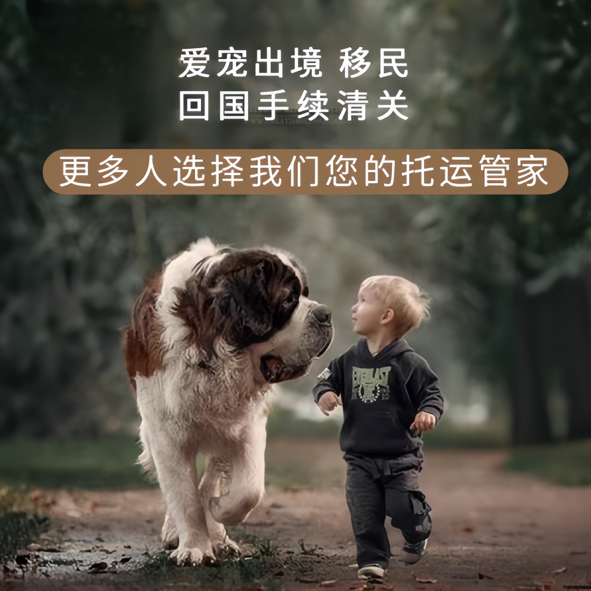 满财深圳宠物全球达宠物托运在遵守入境目的地政策的条件