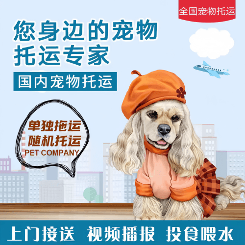 满财深圳宠物全球达宠物托运作为专业的宠物运输代理机构
